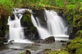 Beautiful waterfall of Clare Glens Royalty Free Stock Photo
