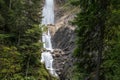 Beautiful waterfall falling over the rocks in a green forest