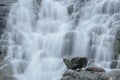 Beautiful waterfall falling on the steps Royalty Free Stock Photo