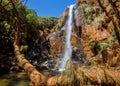 Beautiful waterfall falls from a rusty color cliff in an evergreen forest behind a pine tree. New Caledonia, Melanesia, Oceania.