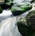 Beautiful waterfall flowing down from moss-covered rocks in the forest, wildlife of Scotland Royalty Free Stock Photo