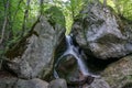 Beautiful waterfall in the forest. Myrafaelle in Lower Austria. Wonderful sightseeing trip near vienna. Holiday and travel concept