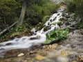 Beautiful waterfall in the forest