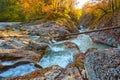 Beautiful waterfall in forest at sunset. Autumn landscape, fallen leaves Royalty Free Stock Photo