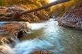 Beautiful waterfall in forest at sunset. Autumn landscape, fallen leaves Royalty Free Stock Photo