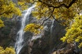 Beautiful waterfall in the forest