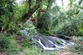 Beautiful waterfall in the forest, Turkey, Kemer