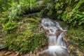 Beautiful waterfall in green forest in jungle