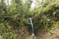 Beautiful waterfall in green forest in jungle in tropical Bali island, Indonesia. North of Bali island. Rainforest scene Royalty Free Stock Photo