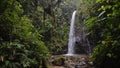 A beautiful waterfall in the heart of the Mashpi Cloud Forest of Ecuador - wide