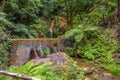 Azores Waterfall