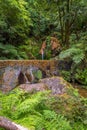 Azores Waterfall