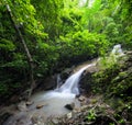 Beautiful waterfall in jungle forest Royalty Free Stock Photo