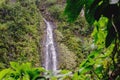 Beautiful waterfall in the jungle, Maui, Hawaii Royalty Free Stock Photo