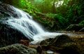 Beautiful waterfall in jungle. Waterfall in tropical forest with green tree and sunlight. Waterfall is flowing in jungle. Nature Royalty Free Stock Photo