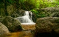 Beautiful waterfall in jungle. Waterfall in tropical forest with green tree and sunlight. Waterfall is flowing in jungle. Nature Royalty Free Stock Photo