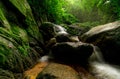 Beautiful waterfall in jungle. Waterfall in tropical forest with green tree and sunlight. Waterfall is flowing in jungle. Nature Royalty Free Stock Photo