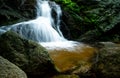 Beautiful waterfall in jungle. Waterfall in tropical forest with green tree and sunlight. Waterfall is flowing in jungle. Nature Royalty Free Stock Photo