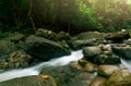 Beautiful waterfall in jungle. Waterfall in tropical forest with green tree and sunlight. Waterfall is flowing in jungle. Nature Royalty Free Stock Photo