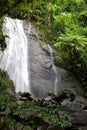 The beautiful waterfall at La Coca in the Puerto Rico rain forest Royalty Free Stock Photo