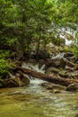 Beautiful waterfall with lake and fallen tree branch Royalty Free Stock Photo