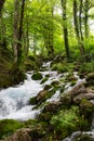 A beautiful waterfall in the middle of the forest. Flowing water and a small lake among the trees. Beautiful nature and relaxation Royalty Free Stock Photo