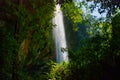 Waterfall Misol Ha among green leaves. Palenque, Chiapas, Mexico Royalty Free Stock Photo