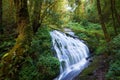 Beautiful waterfall in northern Thailand,at Kew Mae Pan nature t Royalty Free Stock Photo