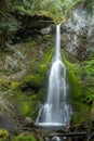 Beautiful Waterfall in Olympic national park Royalty Free Stock Photo