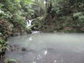 A waterfall and pond in the forest at Makiling botanical gardens, Philippines Royalty Free Stock Photo