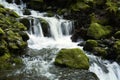 A beautiful waterfall rushing down a rocky river bed amongst rocks covered in brilliant greeen moss. Royalty Free Stock Photo