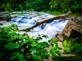 Beautiful waterfall rushing over rocks with a downed tree in the stream Royalty Free Stock Photo