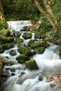 Beautiful waterfall in the Shivapuri Nagarjun National park, Kathmandu, Nepal