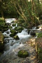 Beautiful waterfall in the Shivapuri Nagarjun National park, Kathmandu, Nepal