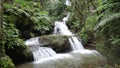 Quiet waterfall in a peaceful environment. Set in the inner forests of Hawaii. Royalty Free Stock Photo