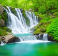 Beautiful waterfall spring Royalty Free Stock Photo