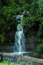 Beautiful waterfall in Sri Lanka Upcountry, nature of sri lanka