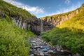 beautiful waterfall Svartifoss in Skaftafell national park, Iceland Royalty Free Stock Photo