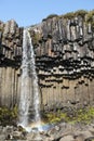 Beautiful waterfall Svartifoss in Skaftafell national park, Iceland Royalty Free Stock Photo