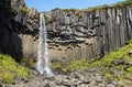 Beautiful waterfall Svartifoss in Skaftafell national park, Iceland Royalty Free Stock Photo