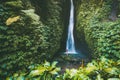 Beautiful waterfall with tropical plants and woman traveller in Bali, Indonesia