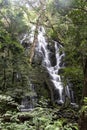 Beautiful waterfall in tropical rain forest. Costa Rica Royalty Free Stock Photo