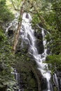 Beautiful waterfall in tropical rain forest. Costa Rica Royalty Free Stock Photo