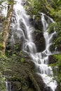 Beautiful waterfall in tropical rain forest. Costa Rica Royalty Free Stock Photo