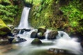 Beautiful waterfalls from the Azores - Salto do Prego, green stream in rainforest