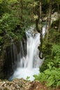 Beautiful creeks of water hurst of Sunik, Slovenia