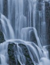 Forest waterfalls of the Columbia River Gorge