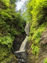 Lush Green Waterfalls at Glenariff Forest Park in Northern Ireland
