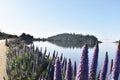 Beautiful Waterfront Trail In Tiburon Marin County Looking Out At Richardson Bay Royalty Free Stock Photo