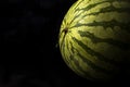 beautiful watermelon in the shade on a black background, the watermelon is ready to be cut and eaten Royalty Free Stock Photo